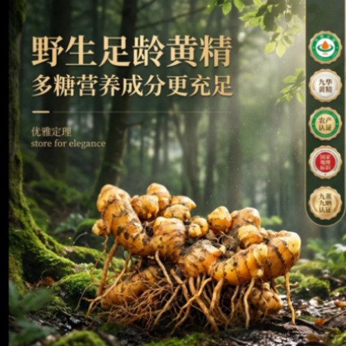 模特图商业效果展示